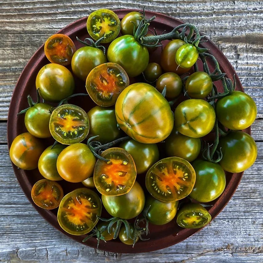 tomato-evil-olive-lah-on-board[1].jpg