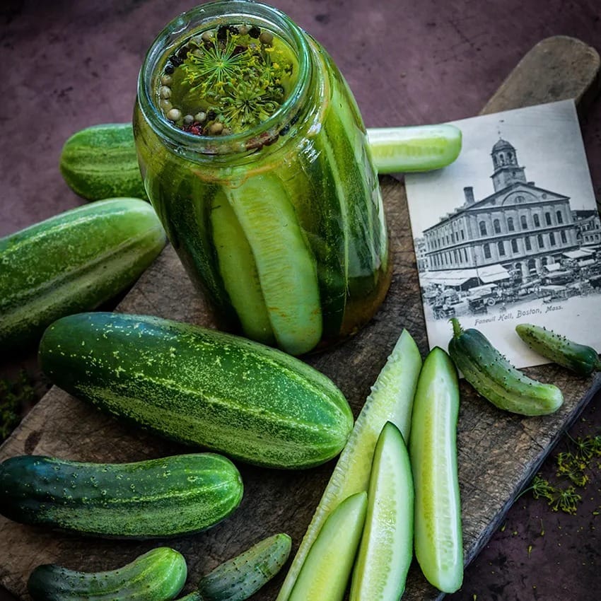 cucumber_boston_pickling_lss_dsc_9620_850x850[1].jpg