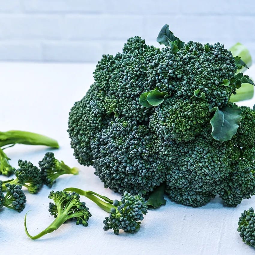 broccoli_waltham_29_lss_dsc_4415_850x850[1].jpg