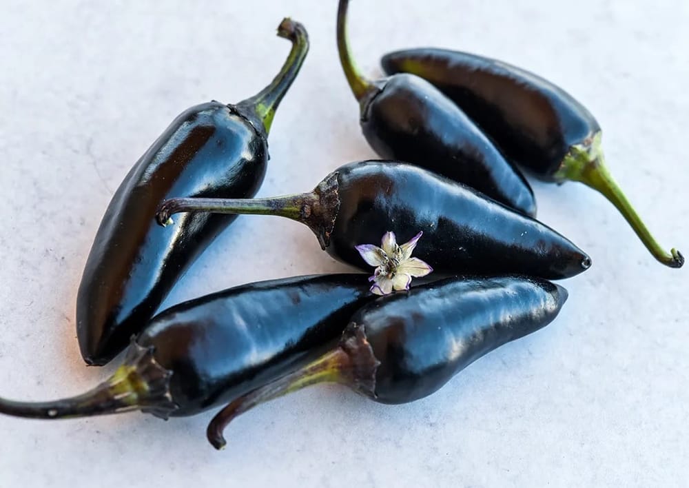 pepper_black_hungarian_lss_dsc_6653_1200x850[1].jpg