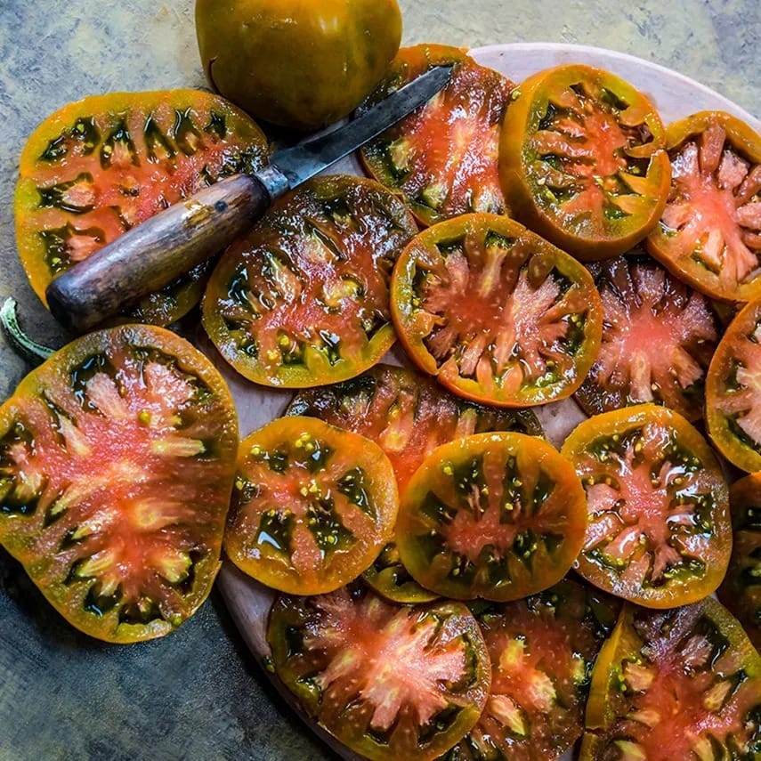 tomato-thorburns-terra-cotta-lss-dsc_1579[1].jpg