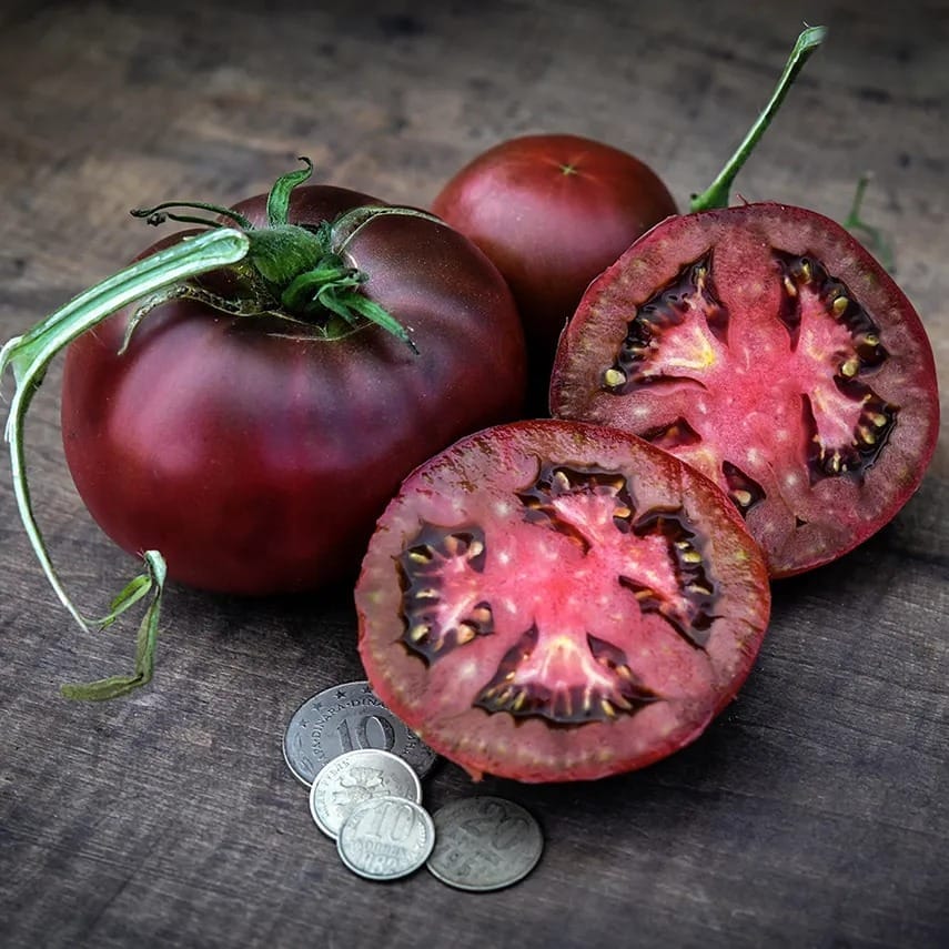 tomato-black-from-tula-tp103-lss-dsc_3770-_2022-08-28t23_50_48[1].jpg