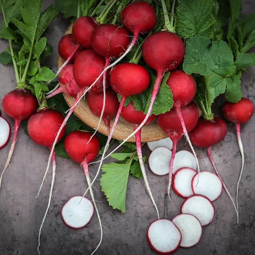 radish-giant-of-sicily-lss-dsc_5481[1].jpg