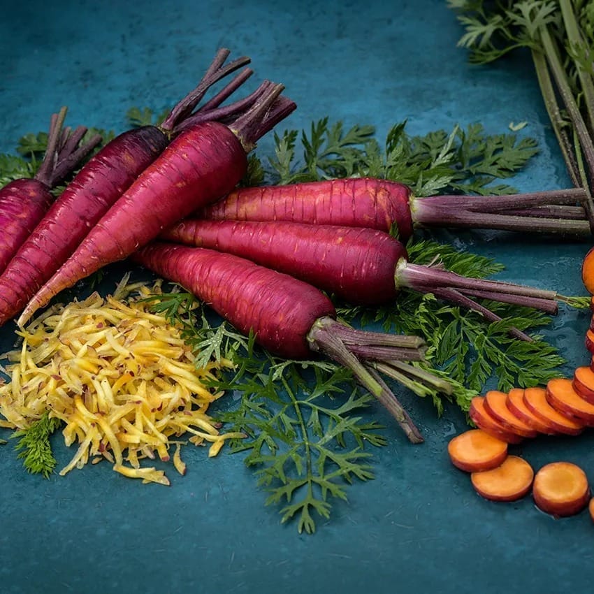 carrot_purple_dragon_lss_dsc_8000_850x850[1].jpg