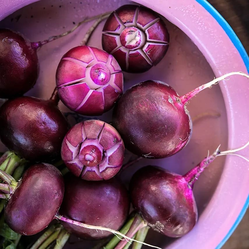 radish-malaga-lss-dsc_0458[1].jpg