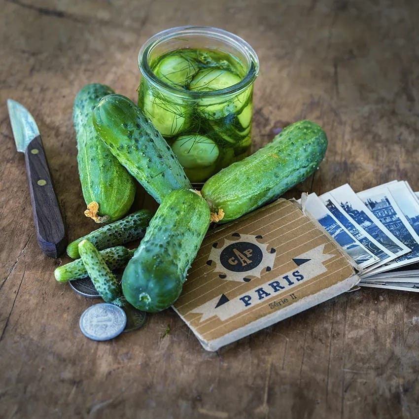 cucumber_parisian_pickling_lss_dsc_8289_850x850[1].jpg