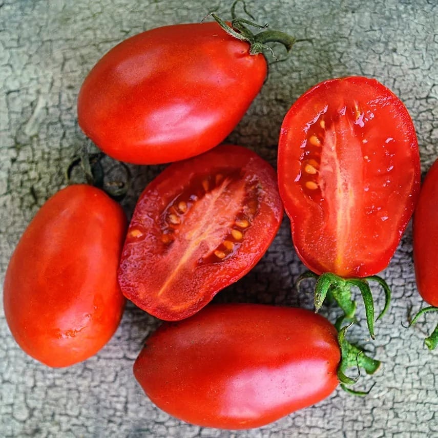 tomato-martinos-roma-lss-000_3451[1].jpg