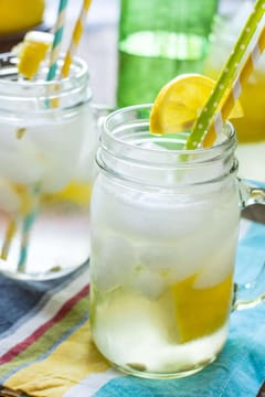 homemade-lemon-shake-up-recipe-3.jpg